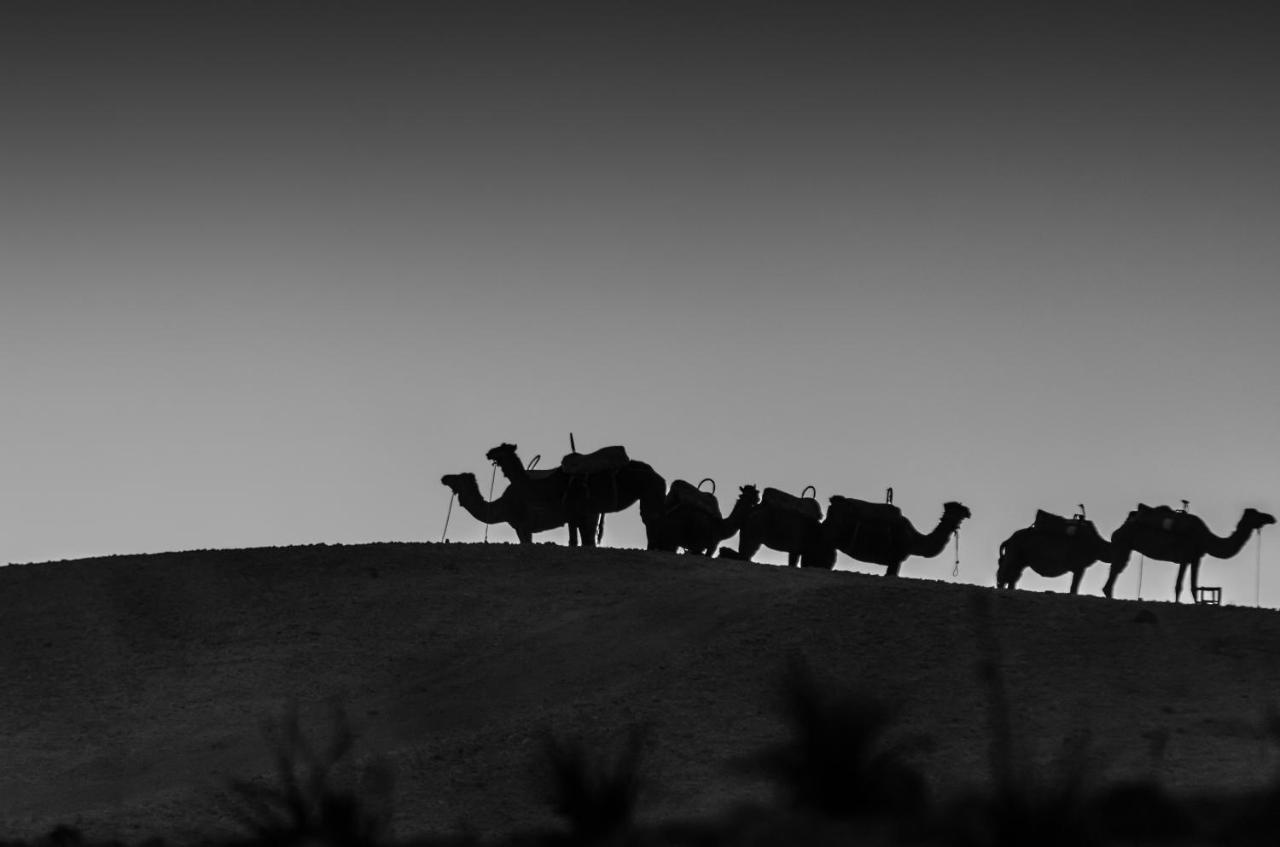 Hotel Camp Cameleon Marrakesz Zewnętrze zdjęcie