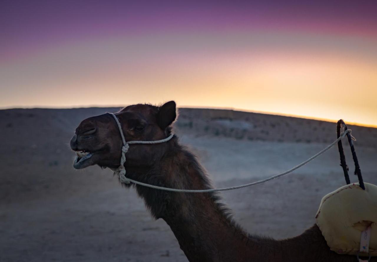 Hotel Camp Cameleon Marrakesz Zewnętrze zdjęcie