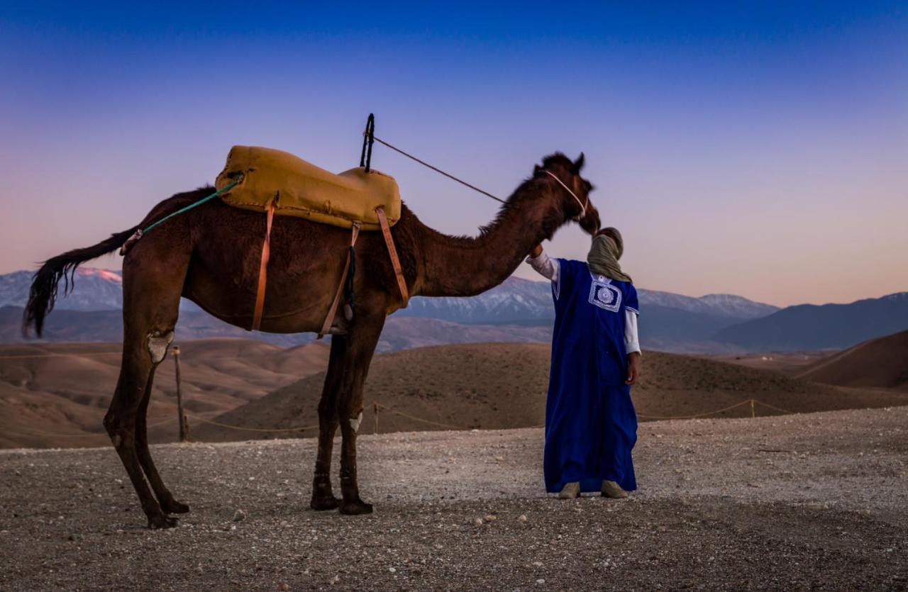 Hotel Camp Cameleon Marrakesz Zewnętrze zdjęcie