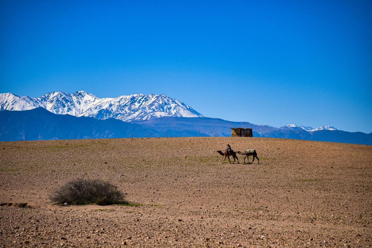 Hotel Camp Cameleon Marrakesz Zewnętrze zdjęcie